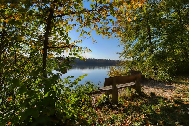 方的得分核 方的得分核