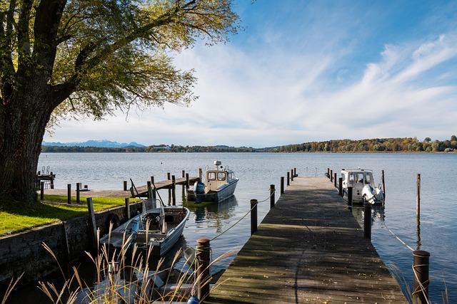 这一环节不 这一环节不