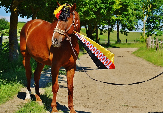 萊萬多夫斯 萊萬多夫斯