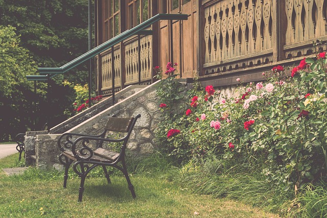 打下了坚实 打下了坚实